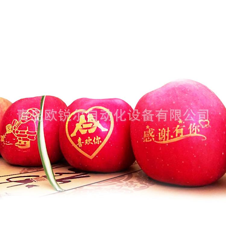 供应可食用水果印字油墨苹果印字油墨可食用油墨糖果印刷油墨