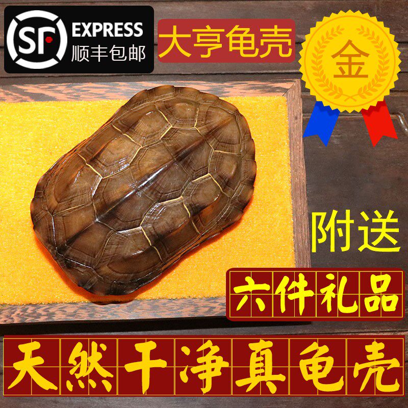 天然完整真件龟壳文玩盘玩手把摆龟甲家居客厅件乌送车挂礼品一套