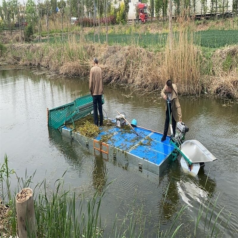 农村河道小型泡沫船p 电动全自动水草收割船 水草打捞机械