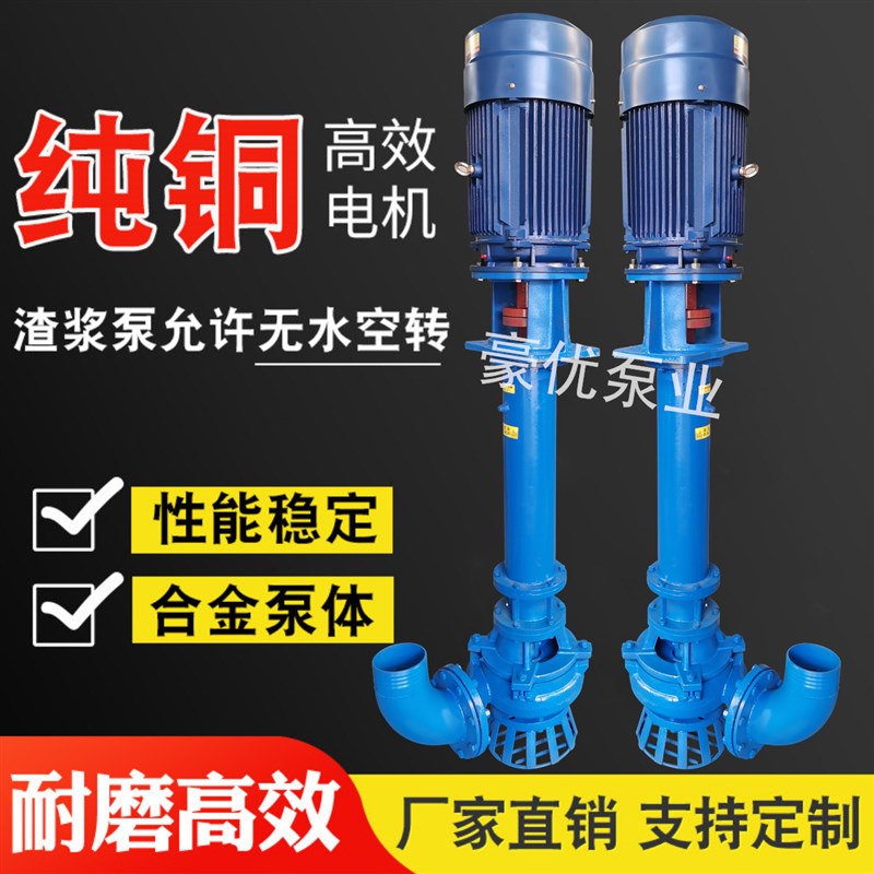 立式泥浆泵抽沙耐磨排污泵河道池B塘清淤吸砂机洗沙矿用液下渣浆