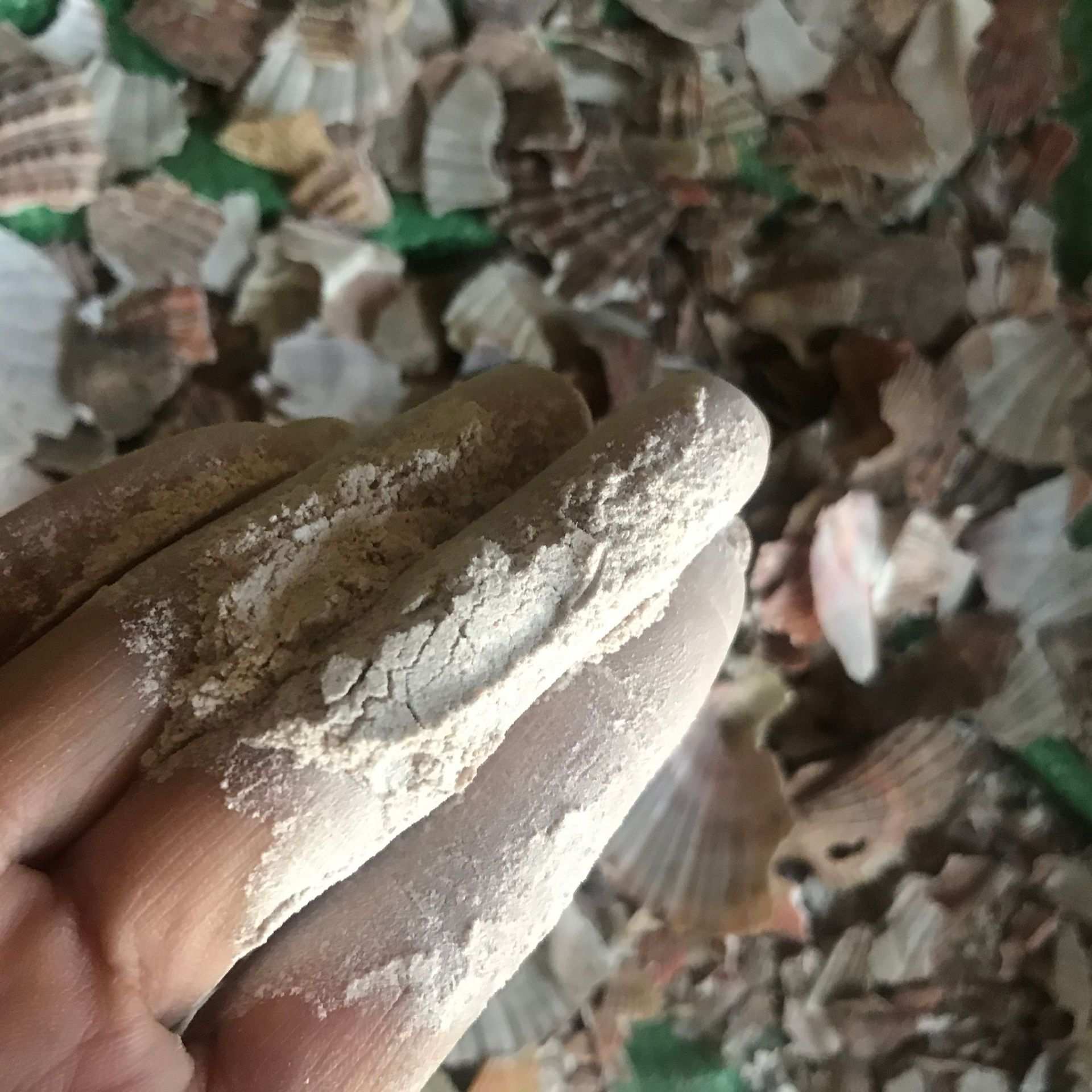 荸荠凉粉草烧仙草不锈钢粉碎机一机多用青稞莜麦去皮碾米磨粉机