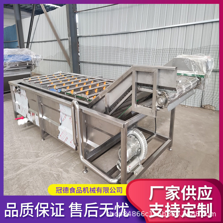 商用全自动连续式气泡高压洗菜机