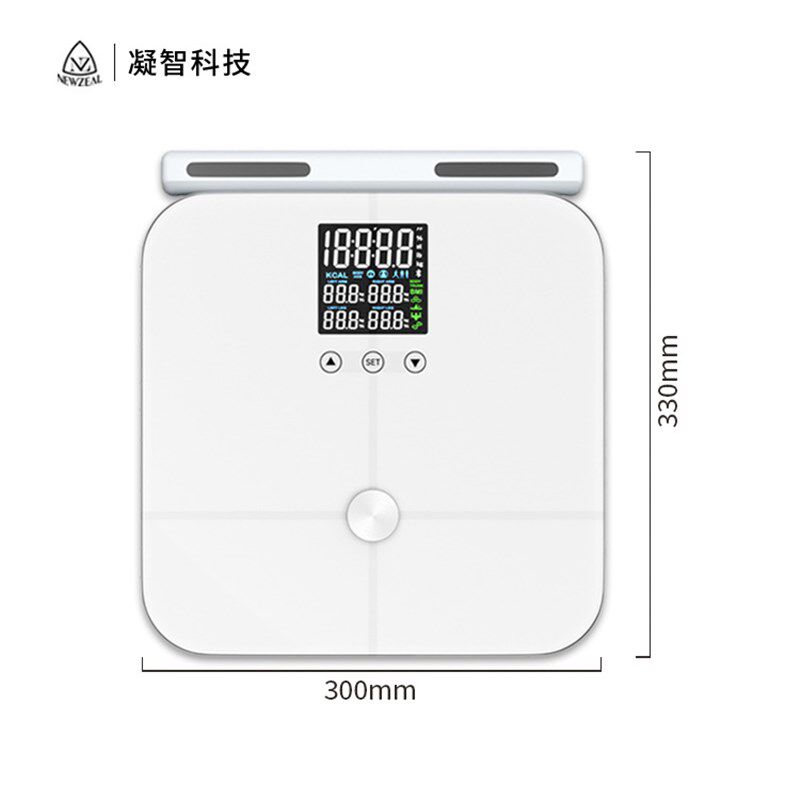 家用智能八电极体脂秤 健身房专业测脂肪称重 外贸彩屏电子体重秤