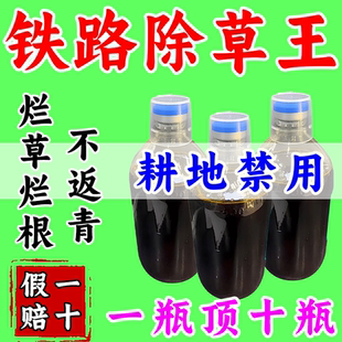 铁路公路强效渗透专用锄草剂斩草除根强效开荒矿区荒地杂草一扫光