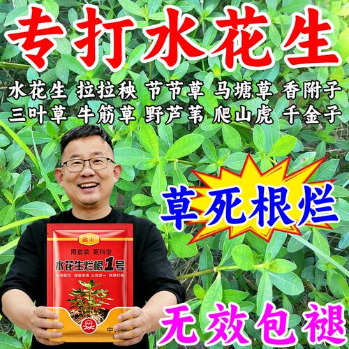水花生专用除草烂根剂专打水花生阔叶草革命草空心莲通用强力肥料