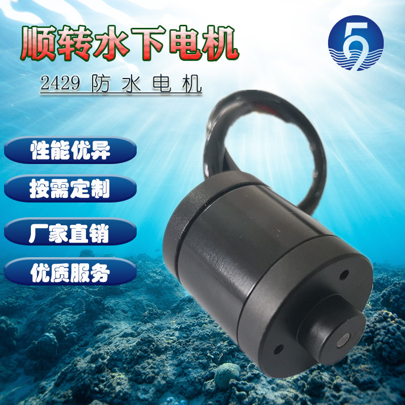 2429防水电机水器水下无刷直流马达水下推进泵潜水电机ROV推进器