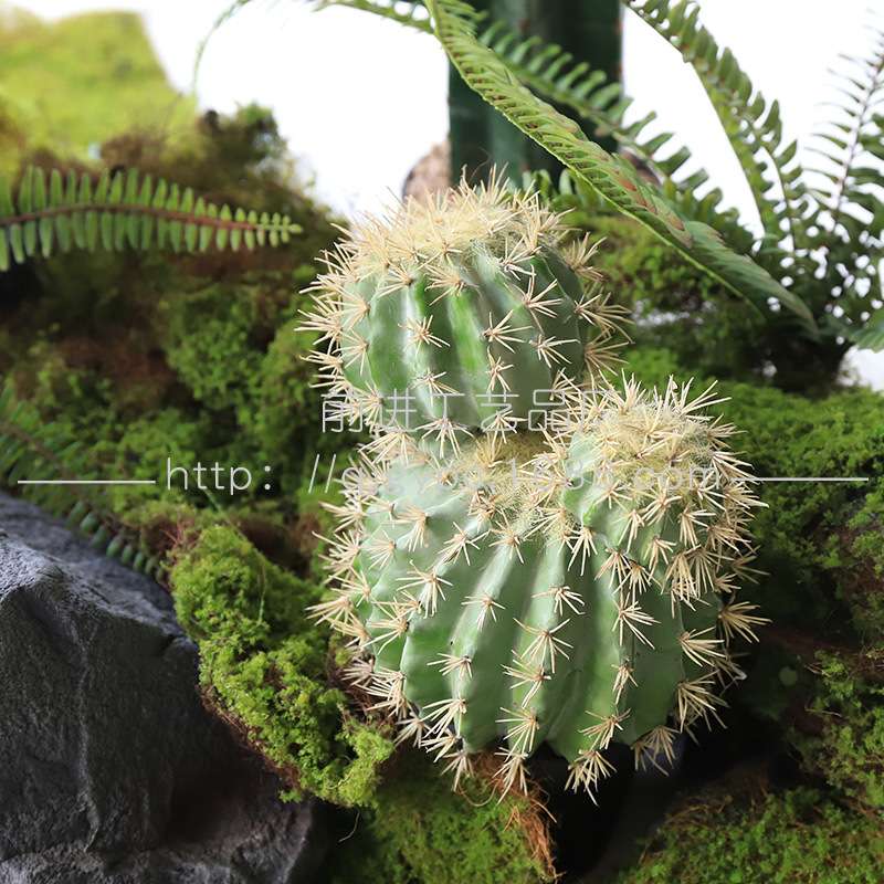 成套绿植设计师套装室内装饰楼梯下植物景观仙人掌造景绿植组合