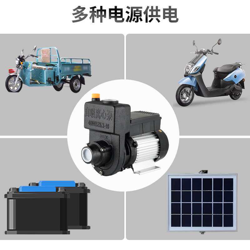 无刷直流自吸离心泵抽油泵环卫洒水车水泵48V60V72V高扬程电瓶泵