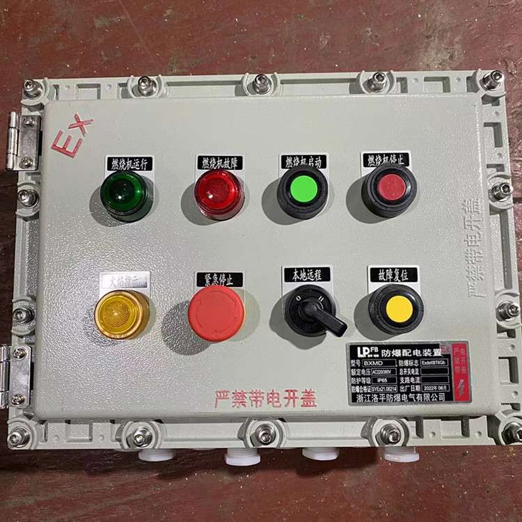 BXMD-53防爆照明动力配电箱 DZ47-25A/2P开关防爆柜