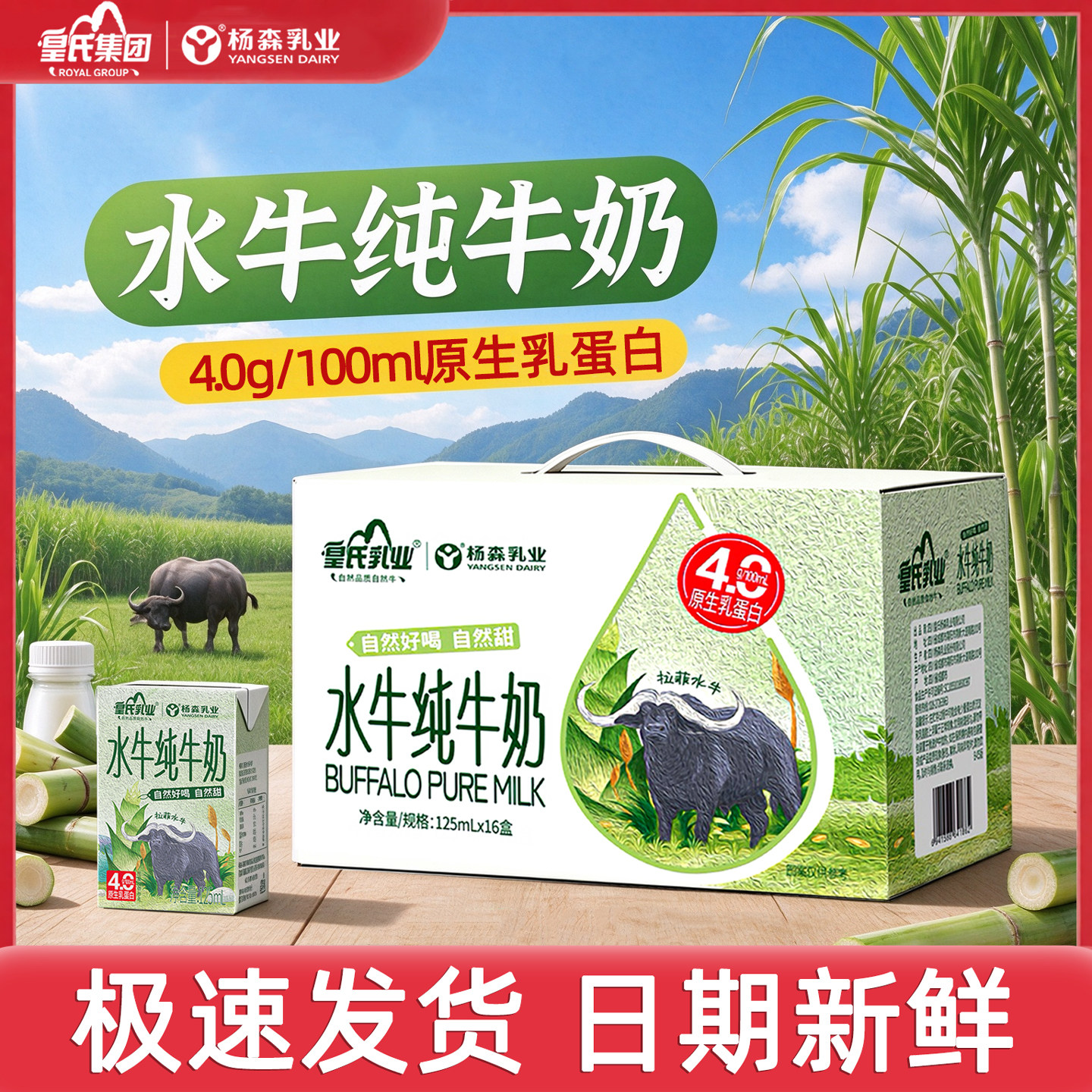 皇氏杨森乳业水牛纯牛奶125ml*16盒4.0g乳蛋白儿童小盒装平价牛奶