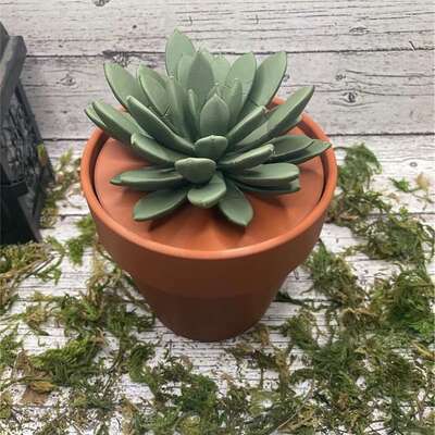 3D打印多肉仿真盆栽亚马逊跨境爆款Push pin succulent