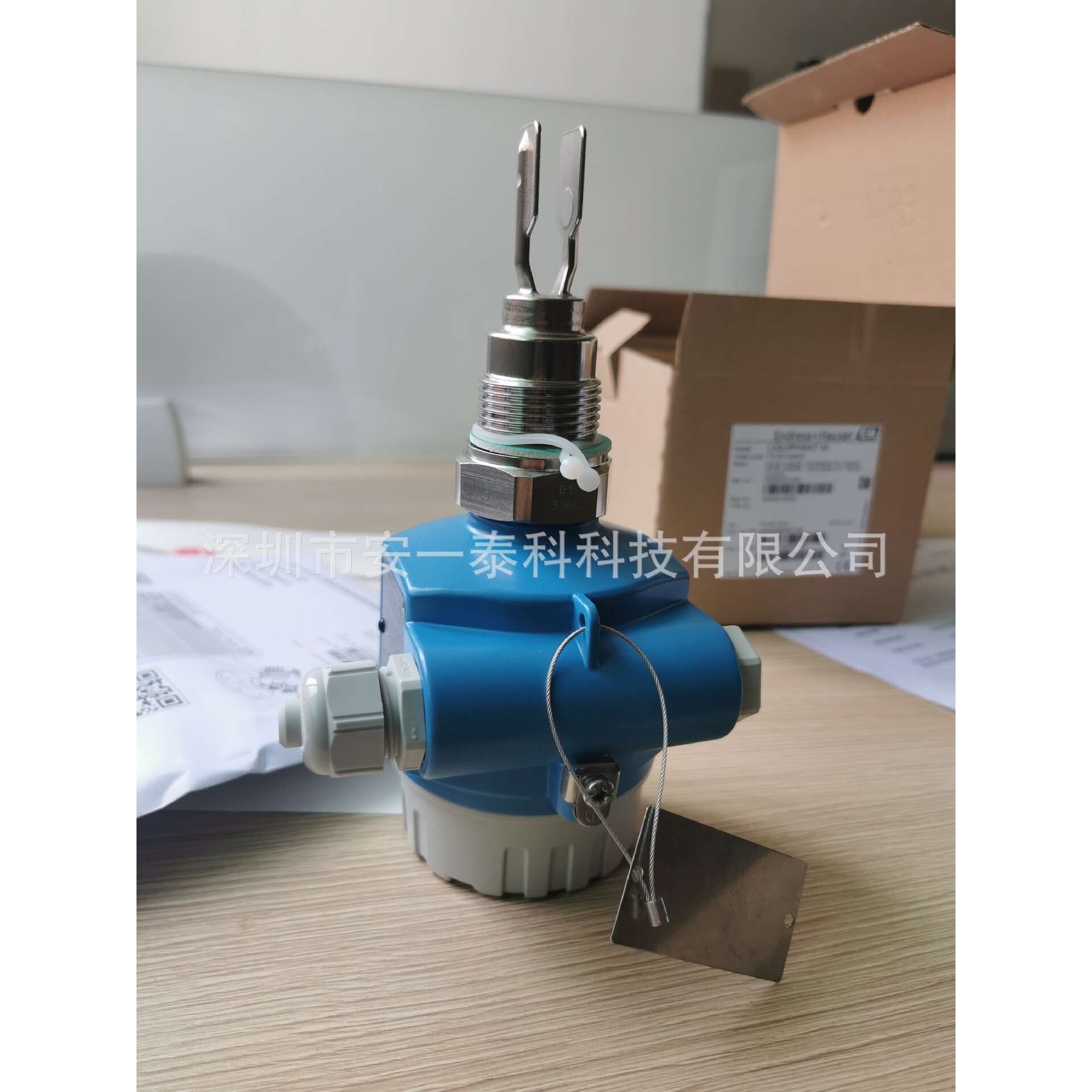 FTL50-ATE2AA4G5A 音叉开关E+H/恩德斯豪斯,FTL50 全系列