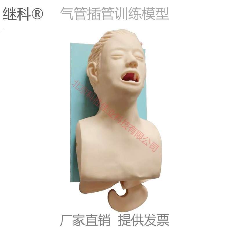 高级电子人体气管插管训练模型(带报警) 插管急救练习模型仿真