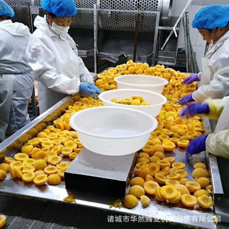 蓝莓草莓速冻机隧道压缩机冷冻柜全自动低温速冻设备水果速冻
