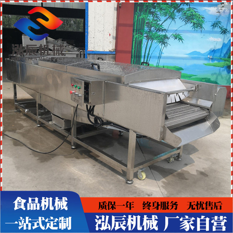 全自动田螺气泡清洗机厂家包邮