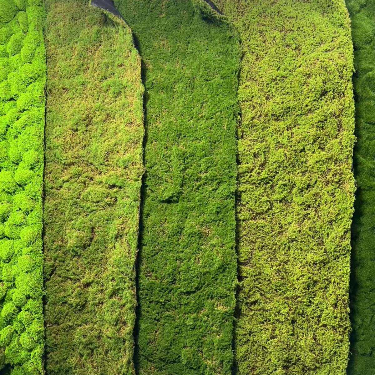 新款仿真泥土混色型草坪苔藓假草坪植物墙