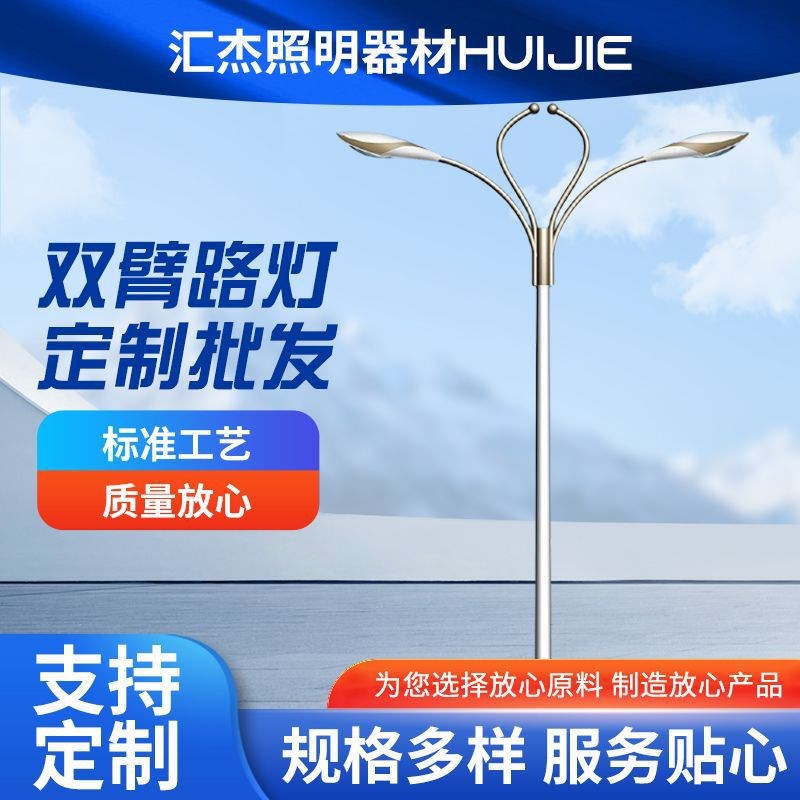 供应户外马路旁道路照明路灯 新农村高速大桥工程W6米双臂路灯