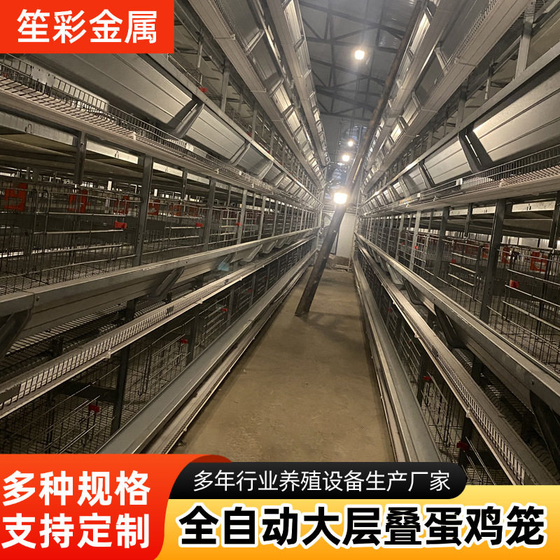 大层叠自动化养蛋鸡设备三四层立式鸡舍养鸡笼子养殖场蛋鸡笼子