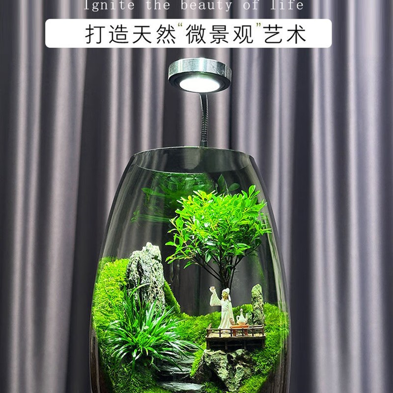 (云海间)微景i观创意假山造景植物家居室内客厅办公室桌面摆件。