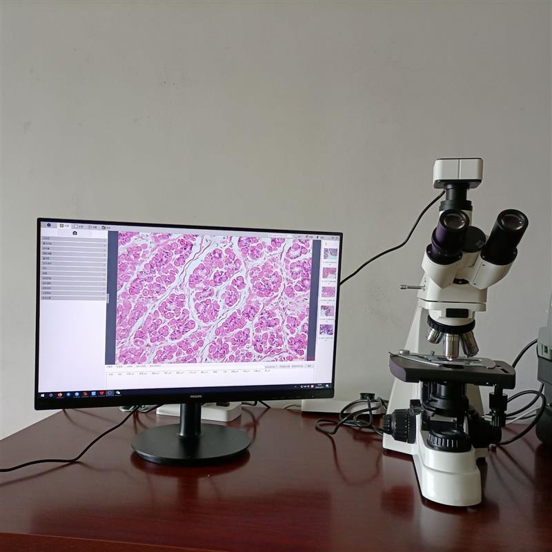 无限远生物显微镜成像适用于细胞纤维可连接电脑高清便携式