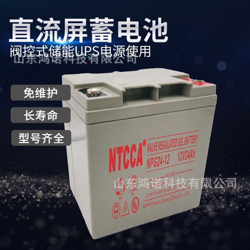 NTCCA恩科蓄电池12V40AH UPS/EPS NPG40-12直流屏用铅酸储能电瓶