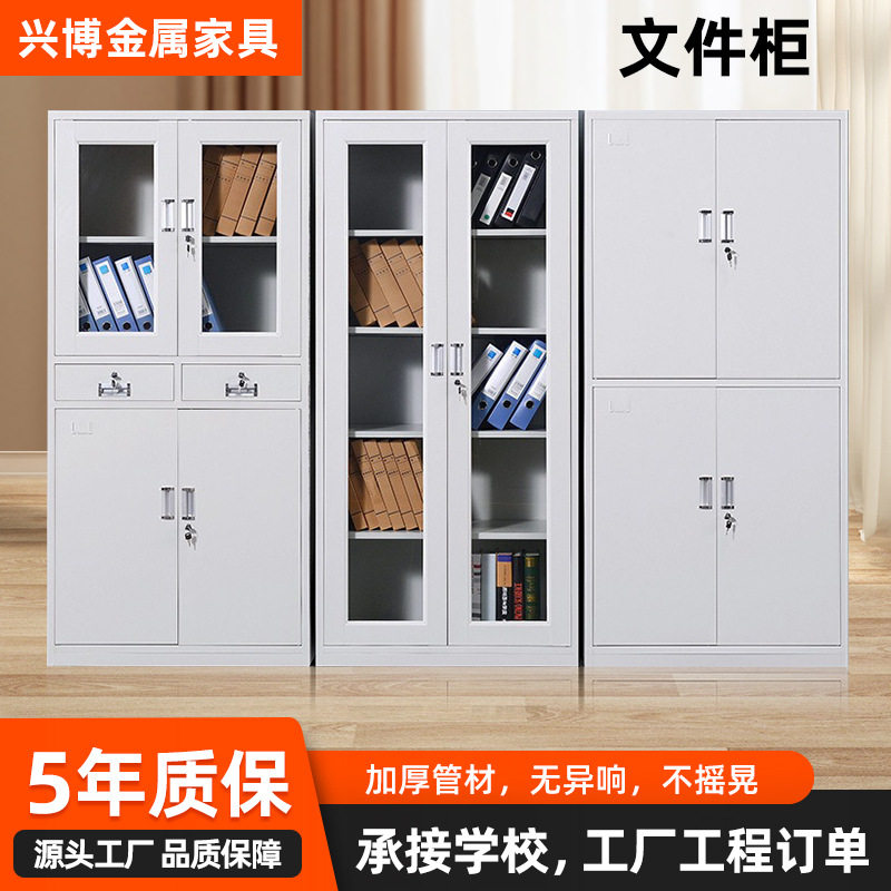 钢制中二抽文件收纳柜铁皮柜办公室财务凭证档案柜资料储物柜带锁