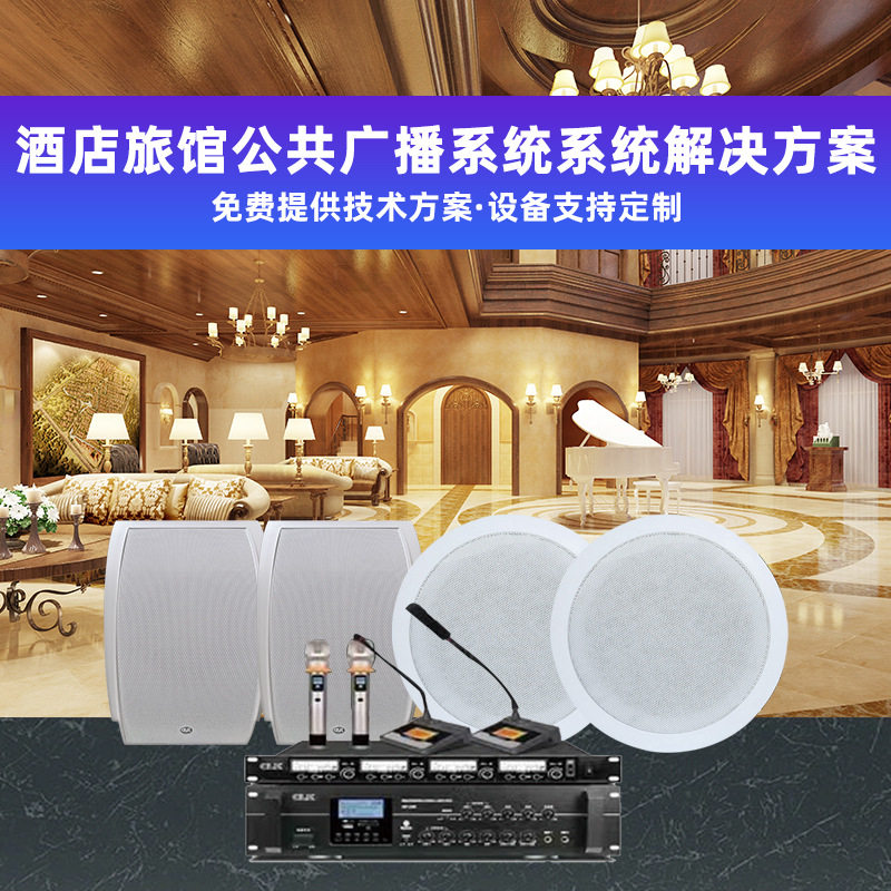 酒店背景音乐分区定时播放公共广播吸顶音箱壁挂音响专业音箱系统