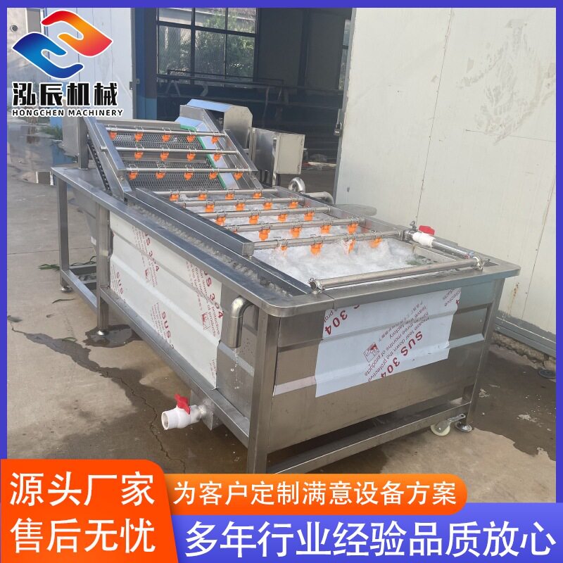 泓辰全自动气泡冲浪果蔬清洗机
