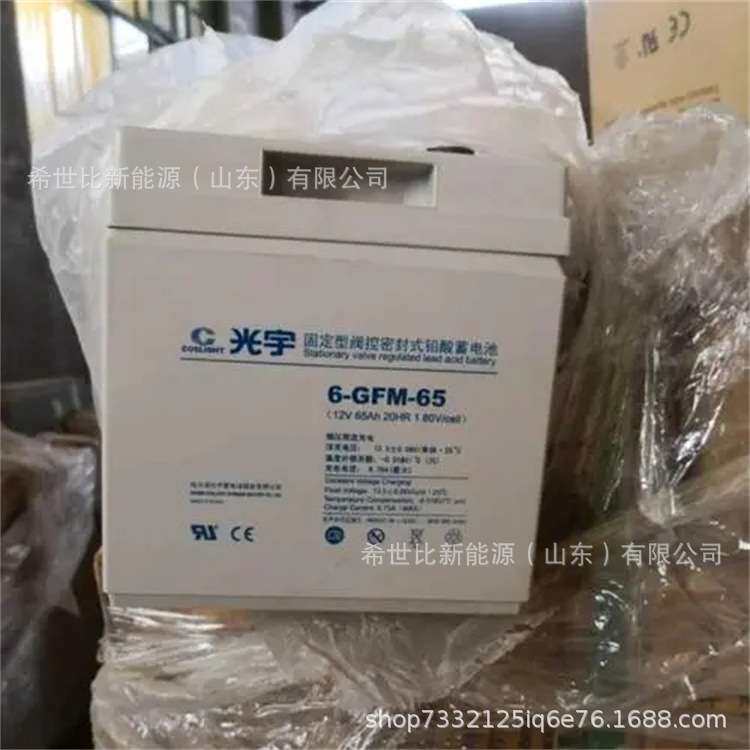 光宇蓄电池6-GFM-65轨风力发电储能12V65AH地铁控制室/铁路信号