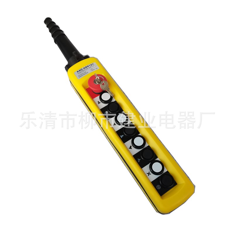 TNHA(XeAC)-A8913Y X8913电葫芦起重行车按钮控制手柄开关带锁钥