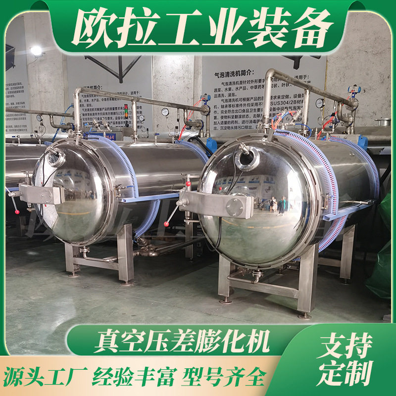 菠萝蜜脆片加工设备 虾条真空膨化干燥设备 薯片真空膨化机器