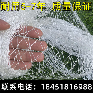 涤纶复丝防鸟网果树樱桃莓萄梨树蓝园果葡防鸟用网鱼塘天网防护网