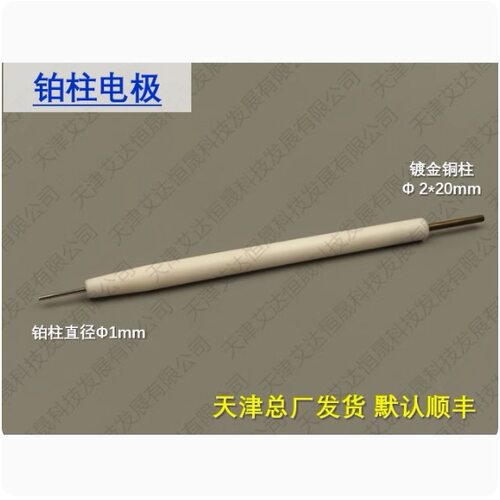 天津艾达恒晟铂柱电极Pt015/Pt010原厂直接发货