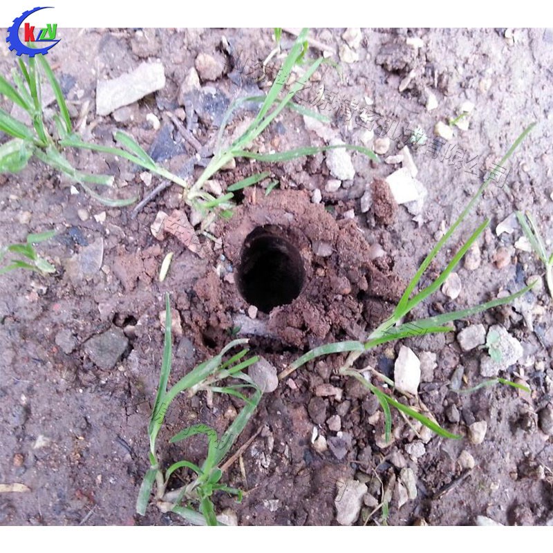 脚踏板式施肥播种器 农作物施肥C追肥设备 果树蔬菜大棚施肥工具