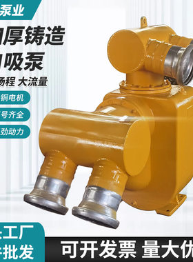 厂家移动式柴油自吸排涝泵车
