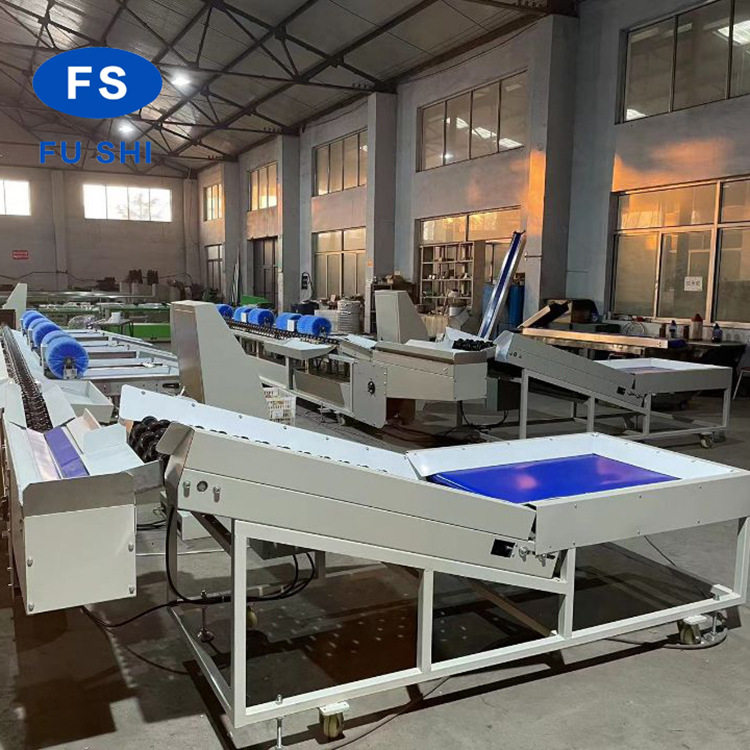 【厂家发货】FGX-DZ型电子选果机 ce认证 水果分选机器