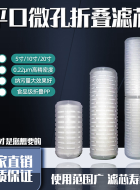 PP微孔折叠膜5寸10寸20寸平口通用折叠滤芯0.22微米精密过滤器芯