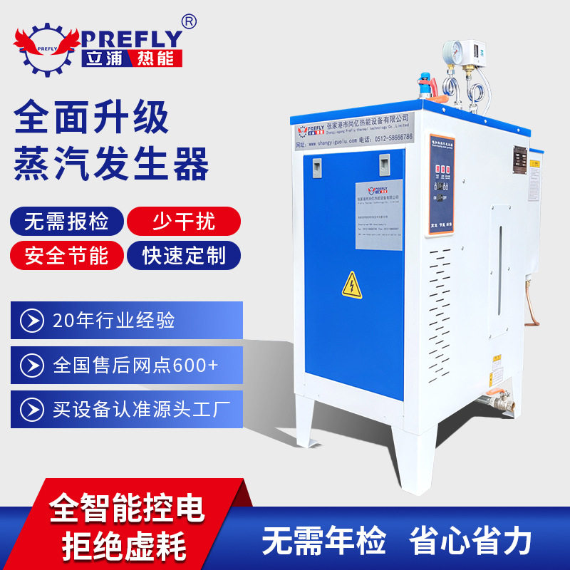 多档位控温电加热蒸汽小锅炉熨斗 服装加工配套挂烫机蒸汽发生器
