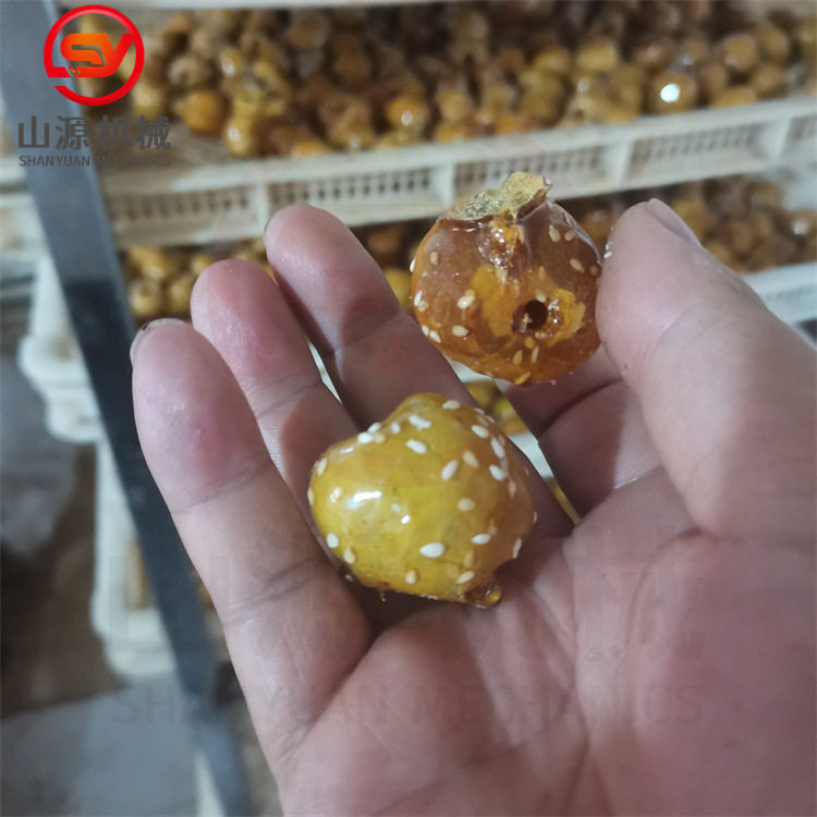 全自动贝贝南瓜裹糖机冻干山楂
