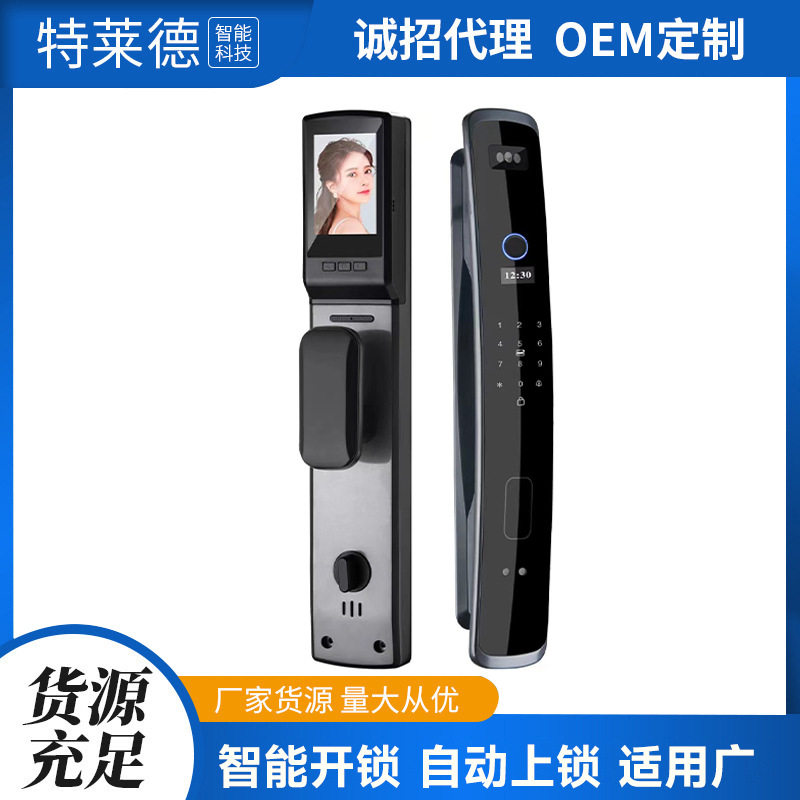 厂家批发家用防盗门指纹密码锁全自动电子锁人脸识别家居智能门锁