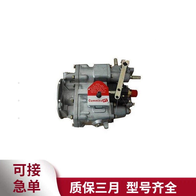 康明斯PT燃油泵3655908发动机配件NTA855-C400 搅拌机柴油机总成