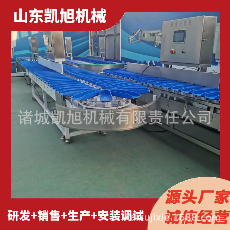 全自动海鲜重量分选分级机