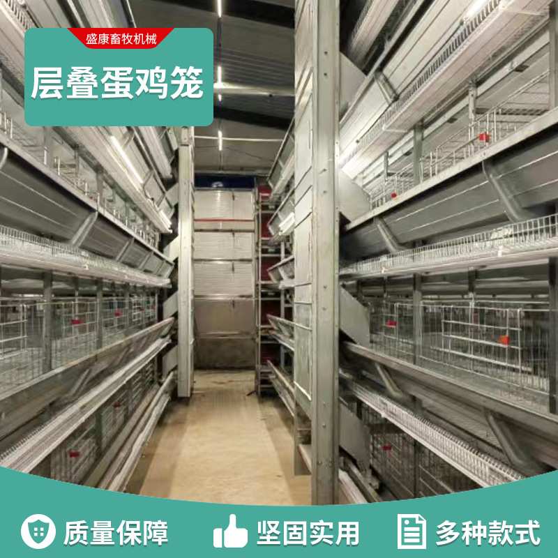 大层叠蛋鸡笼自动收集蛋养鸡多层笼具镀锌养殖场鸡笼子层叠式鸡笼