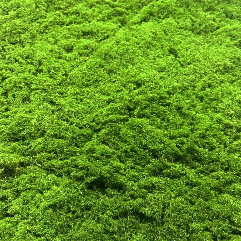 仿真苔藓草皮 青苔草皮 网红苔藓绿植墙布景 仿真苔藓曲丝青苔
