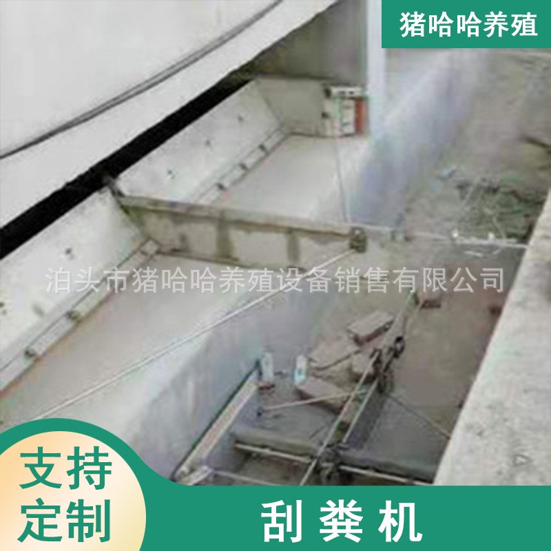 刮粪机 猪f场刮粪机 自动刮粪机 养猪场设备自动刮粪机
