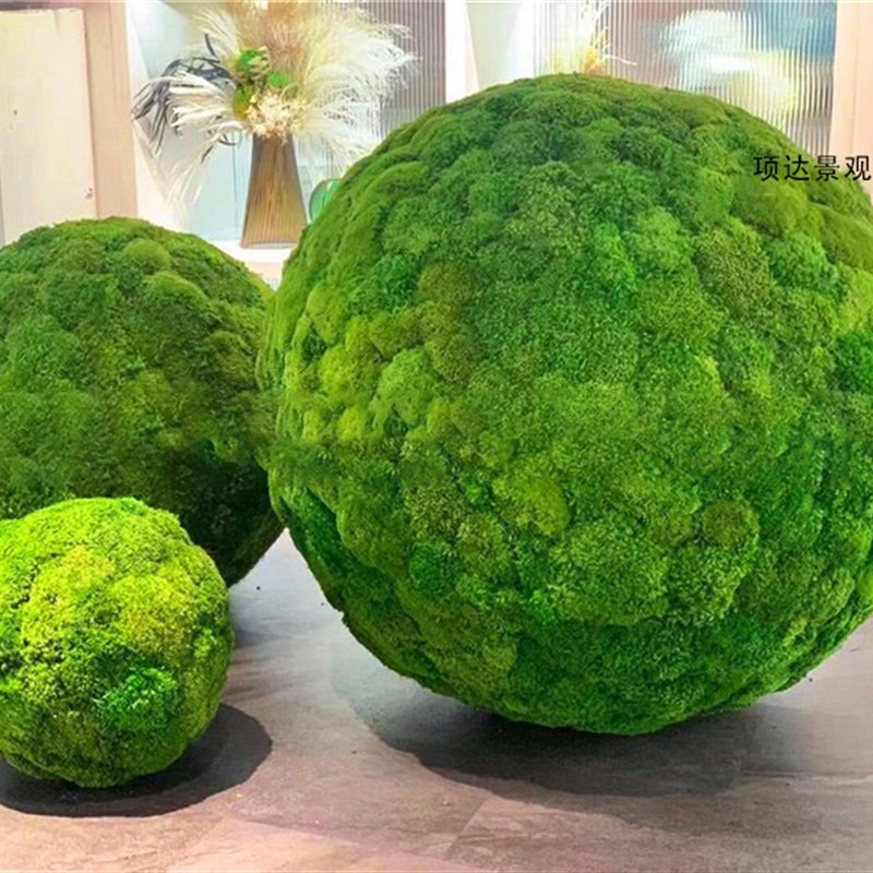 永生白发苔藓球植物球绿t植草球青苔球软装吊顶橱窗展览造景装饰