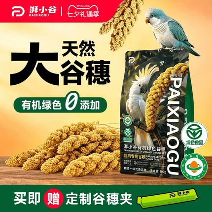 湃小谷天然有机大谷穗鹦鹉训练奖励零食鹦鹉鸟粮食黄谷子虎皮饲料