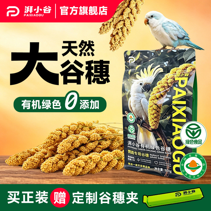 湃小谷天然有机大谷穗鹦鹉训练奖励零食鹦鹉鸟粮食黄谷子虎皮饲料