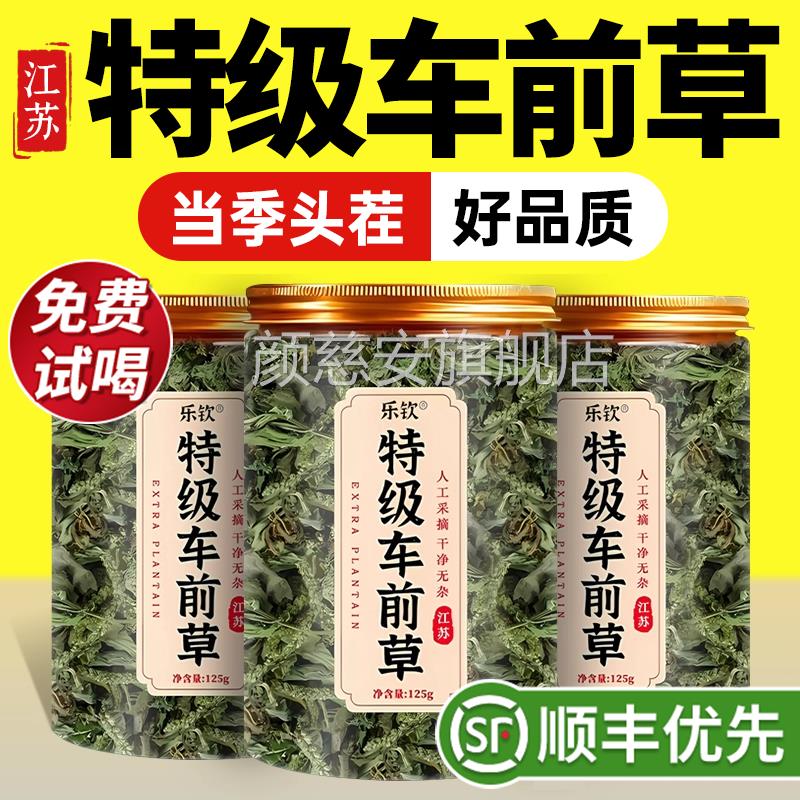 特级新鲜车前正草纯野生干货中药材蒲公英夏枯草茶品官方旗舰店zz