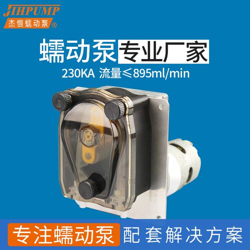 杰恒203KA计量蠕动泵小流量抽水泵小型直流12V 24V清洗机抽糖浆泵